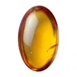 Amber - Fossilized Gum